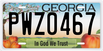 GA license plate PWZ0467