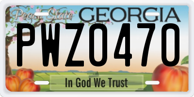GA license plate PWZ0470