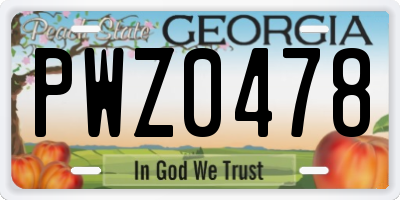 GA license plate PWZ0478