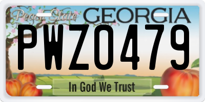 GA license plate PWZ0479