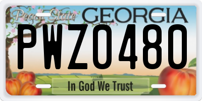 GA license plate PWZ0480