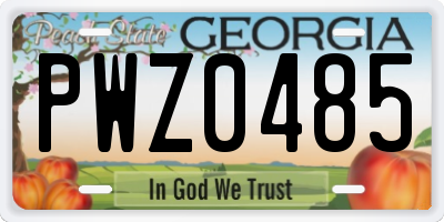 GA license plate PWZ0485