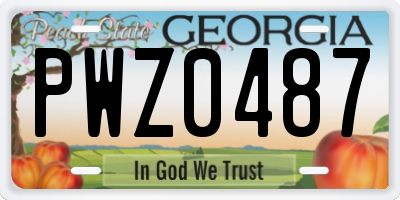 GA license plate PWZ0487