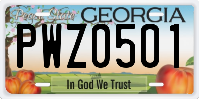 GA license plate PWZ0501