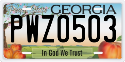 GA license plate PWZ0503