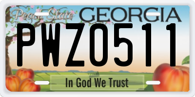 GA license plate PWZ0511