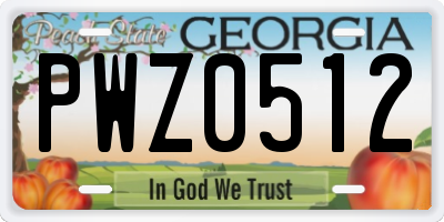 GA license plate PWZ0512