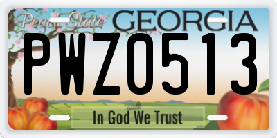 GA license plate PWZ0513