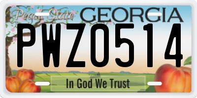 GA license plate PWZ0514