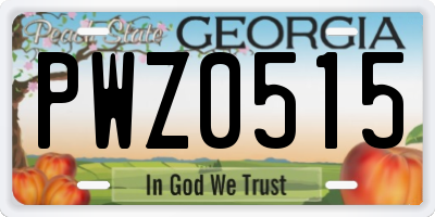 GA license plate PWZ0515