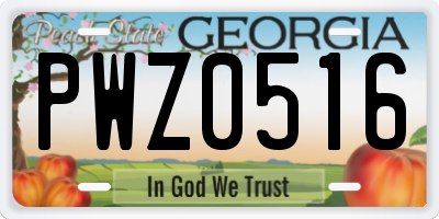 GA license plate PWZ0516