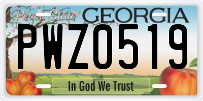 GA license plate PWZ0519