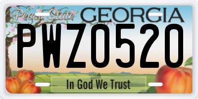 GA license plate PWZ0520