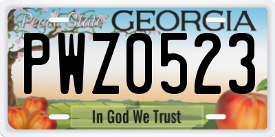 GA license plate PWZ0523
