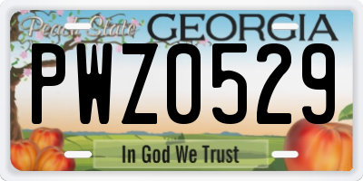 GA license plate PWZ0529