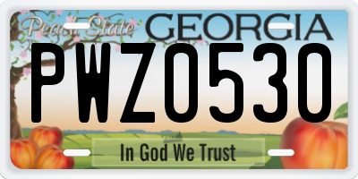 GA license plate PWZ0530