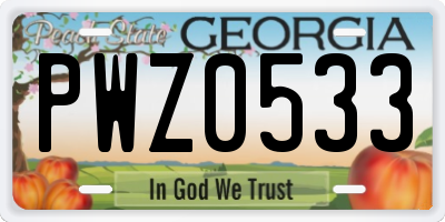 GA license plate PWZ0533