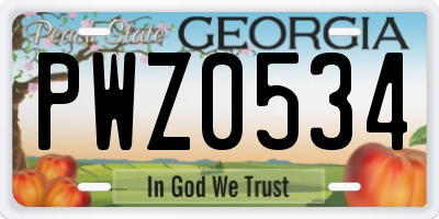 GA license plate PWZ0534