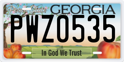 GA license plate PWZ0535
