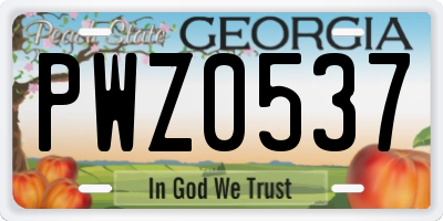 GA license plate PWZ0537