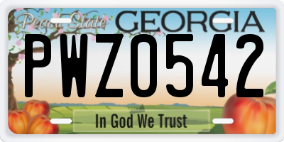 GA license plate PWZ0542