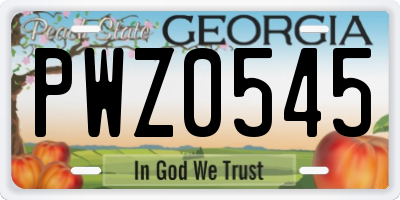 GA license plate PWZ0545