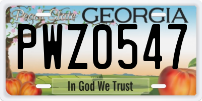 GA license plate PWZ0547