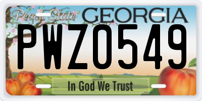GA license plate PWZ0549