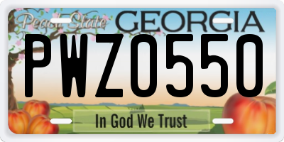 GA license plate PWZ0550