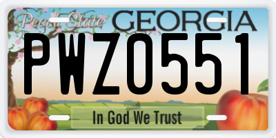 GA license plate PWZ0551