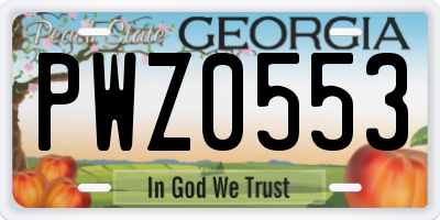 GA license plate PWZ0553