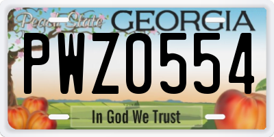 GA license plate PWZ0554