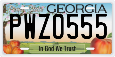 GA license plate PWZ0555