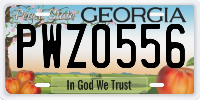 GA license plate PWZ0556