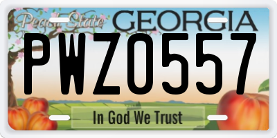 GA license plate PWZ0557