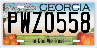 GA license plate PWZ0558