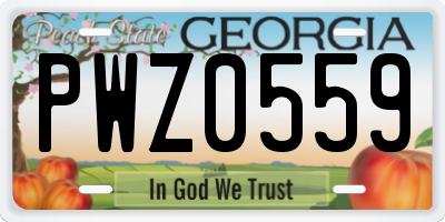 GA license plate PWZ0559