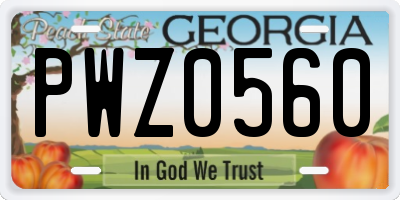 GA license plate PWZ0560