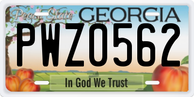 GA license plate PWZ0562