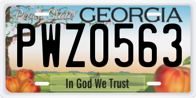 GA license plate PWZ0563
