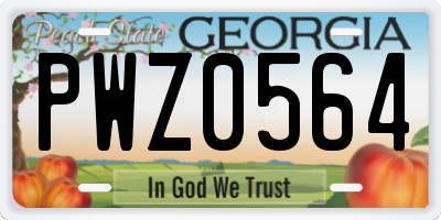 GA license plate PWZ0564