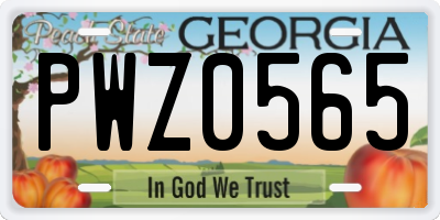 GA license plate PWZ0565