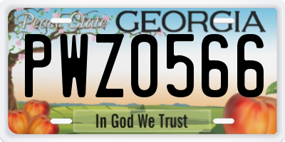 GA license plate PWZ0566