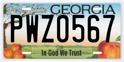 GA license plate PWZ0567
