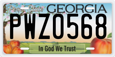 GA license plate PWZ0568
