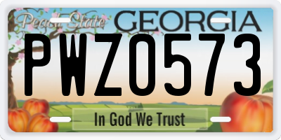 GA license plate PWZ0573