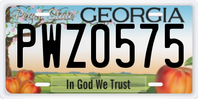 GA license plate PWZ0575
