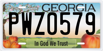 GA license plate PWZ0579