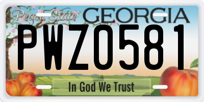 GA license plate PWZ0581