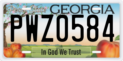 GA license plate PWZ0584